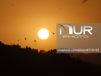 Birds fly as Sun sets at village Bassoni along India Pakistan border in Mendhar of Poonch district in Jammu and Kashmir on Friday August 26,...