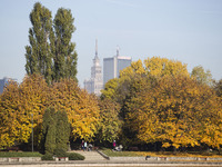 Autumn in Warsaw. People in the park Pole Mokotowskie in Warsaw. 27 October, 2015, Warsaw, Poland (