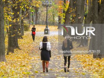 Autumn in Kiev, Ukraine on October 29, 0215
(
