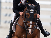 Anthony Condon (IRL) / SFS Vincomte during the Longines EEF Series of Warsaw Jumping CSIO4 , in Warsaw, Poland, on September 9, 2022. (