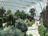 A general view of the flower dome at Garden by the Bay in Singapore on Singapore, on September 12, 2022. (