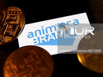 Animoca Brands logo displayed on a phone screen and representation of cryptocurrencies are seen in this illustration photo taken in Krakow,...
