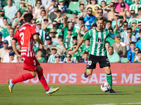 Sergio Canales of Real Betis and Miguel Gutierrez of Girona FC during the spanish league, La Liga Santander, football match played between R...