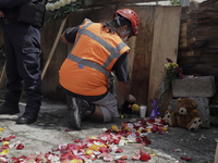 A person scatters roses outside the Rebsamen School in Mexico City, during a mass and commemoration of the earthquake of 19 September 2017 w...