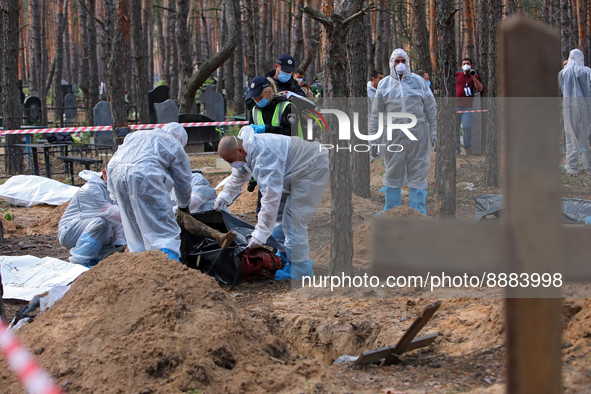IZIUM, UKRAINE - SEPTEMBER 19, 2022 - Investigators and forensic experts exhume the bodies of Izium residents killed by Russian occupiers at...