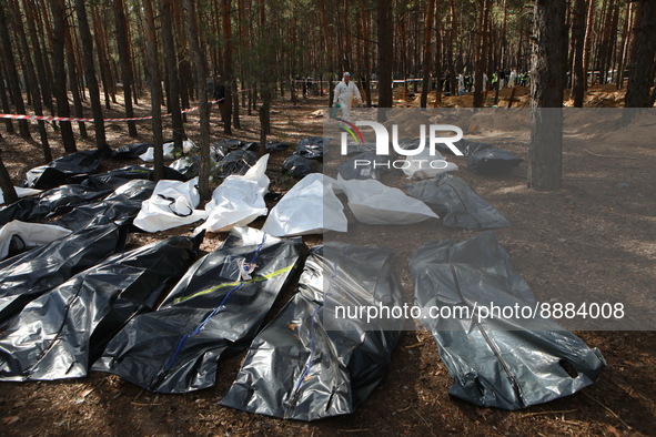 IZIUM, UKRAINE - SEPTEMBER 19, 2022 - Human remains pouches with the bodies of Izium residents killed by Russian occupiers are pictured as e...