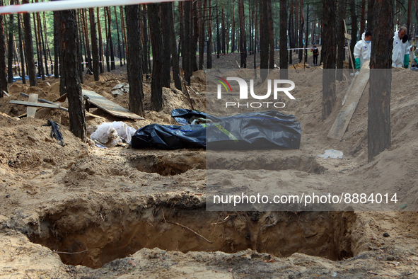 IZIUM, UKRAINE - SEPTEMBER 19, 2022 - Human remains pouches with the bodies of Izium residents killed by Russian occupiers lie by the graves...