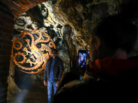 Visitors are taking pictures inside the Dragon's Den under Wawel Castle as part of promo campaign of 'House of the Dragon', the new HBO preq...