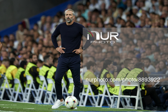Marco Rose head coach of RB Leipzig during the UEFA Champions League group F match between Real Madrid and RB Leipzig at Estadio Santiago Be...