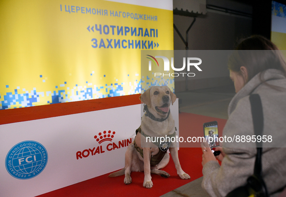 KYIV, UKRAINE - SEPTEMBER 22, 2022 - A service dog is seen during the first 