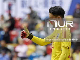 Shuichi Gonda goalkeeper of Japan and Shimizu S-Pulse gestures during the international friendly match between Japan and United States at Me...