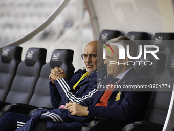Portrait of Luis de la Fuente, head coach of Spain U21 national team during the game Romania U21 v. Spain U21, disputed on Cluj Arena, Cluj-...