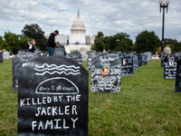 A headstone blames the Sackler family, the owners of Purdue Pharma for his death in a cemetery in front of the US Capitol.  The art installa...