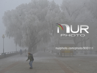 Heavy smog and rime hit Harbin city of China on October 11 2015.According to the meteorological department said the level of air pollution t...