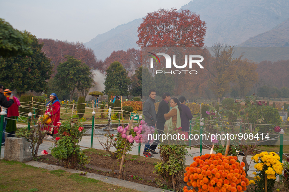 SRINAGAR, INDIAN CONTROLLED KASHMIR- NOVEMBER 15: A view of Chinar autumn trees in the Nishat garden during the autumn season on November 15...