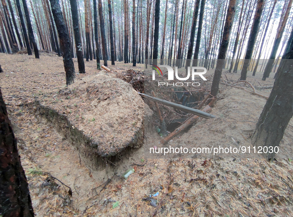 KHARKIV REGION, UKRAINE - OCTOBER 26, 2022 - A dugout is pictured in a forest near Izium after the area was liberated from Russian invaders,...