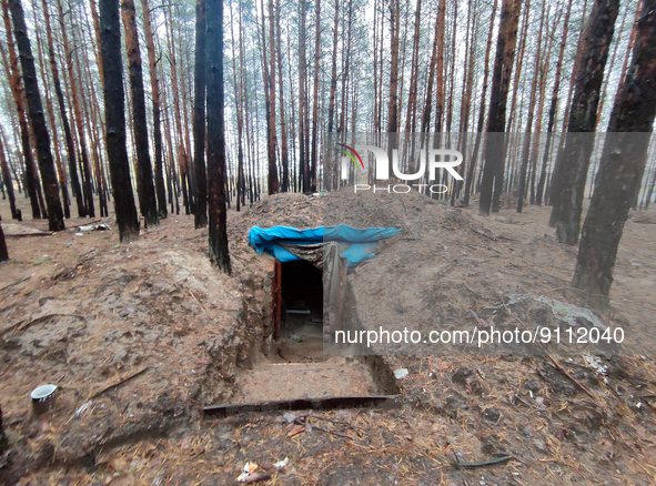 KHARKIV REGION, UKRAINE - OCTOBER 26, 2022 - A dugout is pictured in a forest near Izium after the area was liberated from Russian invaders,...