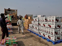 Labourers load boxes filled with apples on to the trucks to be sent to different fruit Markets across the country at Mustafa Memorial fruit...