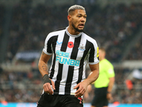 Newcastle United's Joelinton during the Premier League match between Newcastle United and Chelsea at St. James's Park, Newcastle on Saturday...