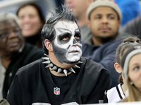A Oakland Raiders fan sits in the stands of an NFL football game against the Detroit Lions in Detroit, Michigan USA, on Sunday, November. 22...