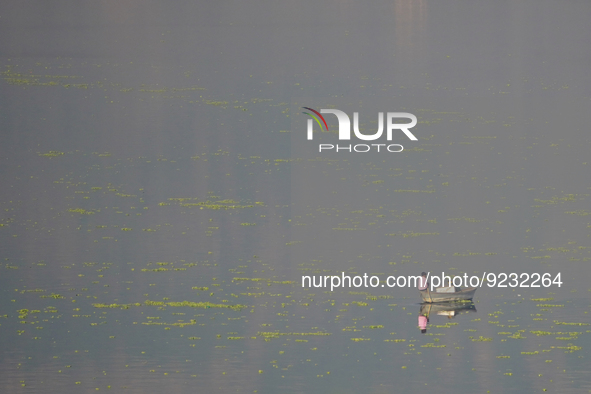 Indian Fishermen in the Anasagar lake in Ajmer in the Indian state of Rajasthan, on November 22, 2022. 