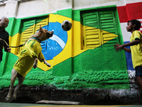 A Children with a dog warring brazil football team jersey  are seen playing in front of an wall art of Brazil National Flag to celebrate the...