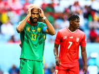 Eric Choupo-Moting (CMR), Breel Embolo (SUI) during the World Cup match between Switzerland vs Cameroon , in Doha, Qatar, on November 24, 20...