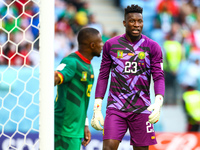Andre Onana (CMR) during the World Cup match between Switzerland vs Cameroon , in Doha, Qatar, on November 24, 2022. (