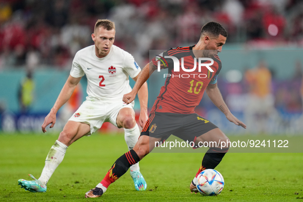 (10) HAZARD Eden of Belgium team battel for possession with (2) JOHNSTON Alistair of Canada team during FIFA World Cup Qatar 2022  Group F f...