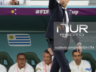 Coach of Uruguay Diego Alonso during the FIFA World Cup 2022, Group H football match between Uruguay and Korea Republic on November 24, 2022...