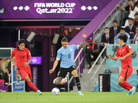 Darwin Nunez of Uruguay, Na Sang-Ho of South Korea (L) during the FIFA World Cup 2022, Group H football match between Uruguay and Korea Repu...