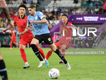 Federico Valverde of Uruguay, Hwang In-Beom of South Korea (L) during the FIFA World Cup 2022, Group H football match between Uruguay and Ko...