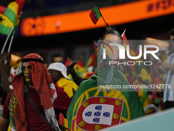 Portugal supporters during the FIFA World Cup Qatar 2022 Group H match between Portugal and Ghana at Stadium 974 on November 24, 2022 in Doh...