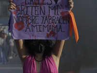 A member of the feminist Black Bloc holds a banner while other women burn posters in Mexico City's Zócalo to mark the International Day for...