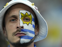 Uruguay supporter prior the FIFA World Cup Qatar 2022 Group H match between Portugal and Uruguay at Lusail Stadium on November 28, 2022 in L...
