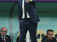 Diego Alonso head coach of Uruguay gives instructions during the FIFA World Cup Qatar 2022 Group H match between Portugal and Uruguay at Lus...