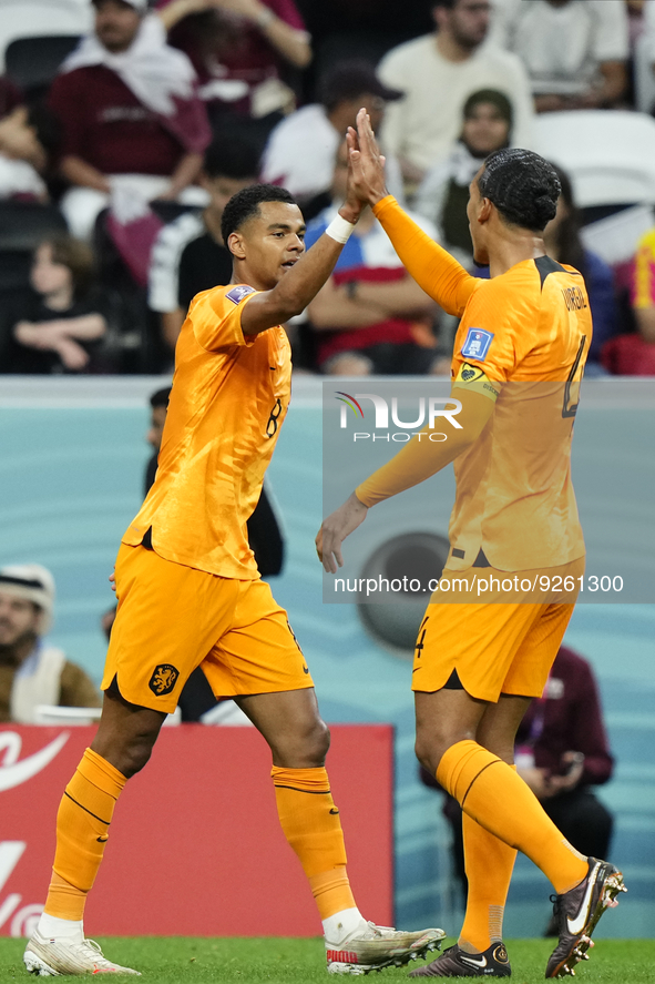Cody Gakpo left winger of Netherlands and PSV Eindhoven celebrates after scoring his sides first goal during the FIFA World Cup Qatar 2022 G...