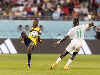 Moises Caicedo , Pathe Ciss  during the World Cup match between Ecuador vs Senegal in Doha, Qatar, on November 29, 2022. (