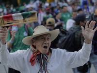 A senior citizen celebrates a goal during the FIFA Fan Fest Mexico on the esplanade of the Monumento a la Revolución in Mexico City, on the...