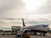 A Ryanair Boeing 737 at International Airport Treviso A. Canova, in Treviso, Italy, on November 30, 2022.  (