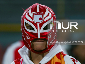 A fan wears a mask with the logo of Independiente Santa Fe. (