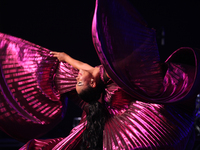 

A dancer is performing during the South Asian Summer Festival in Mississauga, Ontario, Canada. (