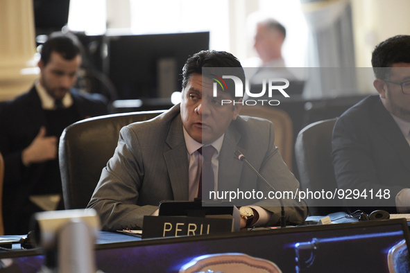 The Perus Acting Representative to Organization of the American State(OAS) speaks about Human Right and Peruvian crisis during an extraordin...