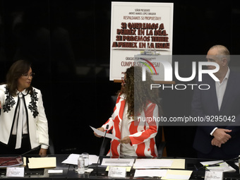 December 8, 2022, Mexico City, Mexico: The president of the Energy Commission, Rocio Abreu, and Senator Julen Rementeria at the appearance o...