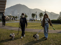 People walking dogs at the West Kowloon Cultural District on December 9, 2022 in Hong Kong, China. (