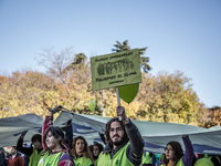 Greenpeace's volunteer during the march in Madrid on 29 november, 2015 (