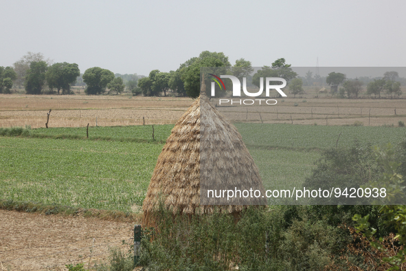 Large haystack containing food for livestock in Greater Noida, Uttar Pradesh, India, on May 07, 2022.  
