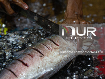 A man cleaning milkfish in Rawa Belong, Jakarta on 19 January 2023. Nearing the Chinese New Year, locally known as Imlek, many milkfish vend...