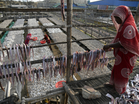 Workers set up dry fish on racks under the sunlight at Karnaphuli riverside area in Chittagong, Bangladesh on January 16, 2023.  (
