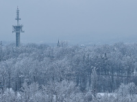 General view of Krakow's Emitel TV tower and surrounding trees covered with snow in Krakow, Poland, on January 21, 2023.
Since Thursday, Jan...